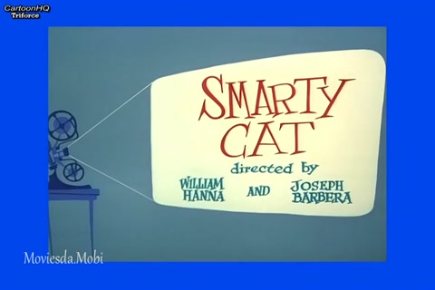 Smarty Cat HD.mp4