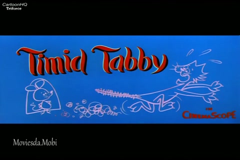 Timid Tabby HD.mp4