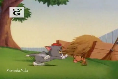 Head Banger Buddy HD.mp4