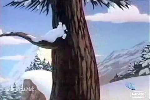 Wildmouse HD.mp4