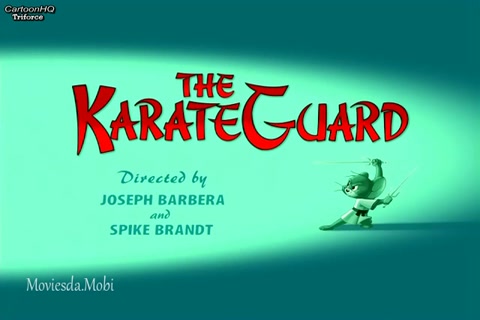 The Karate Guard HD.mp4