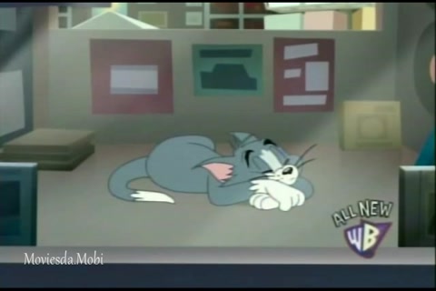 Dj Jerry HD.mp4