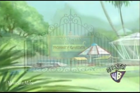 Monkey Chow HD.mp4