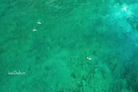 The Shallows 2016 HD Sample.mp4