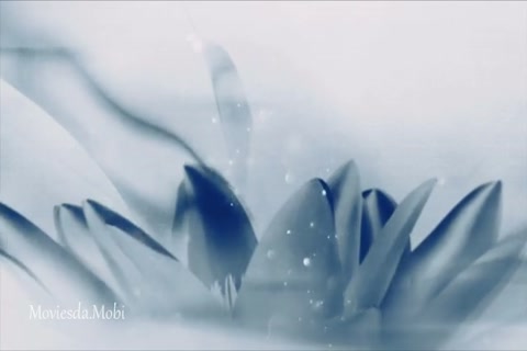 The Untamed Season 1 Episode 13 HD.mp4