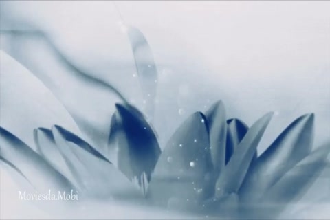 The Untamed Season 1 Episode 43 HD.mp4