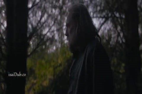 PIG HD Sample.mp4