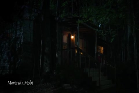 Stranger Things Season 03 (Epi 03) HD.mp4