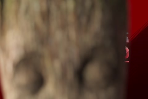 I Am Groot Season 01 (Epi 02).mp4