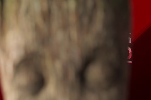 I Am Groot Season 01 (Epi 04).mp4