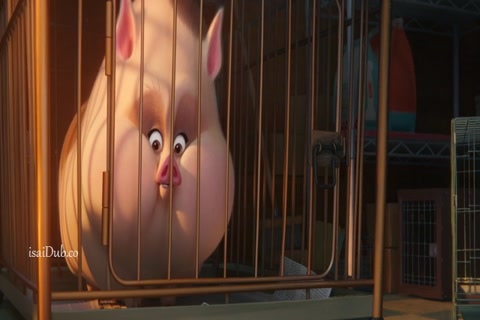 DC League of Super-Pets 2022 HD Sample.mp4