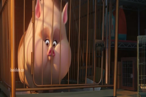 DC League of Super-Pets 2022 720p HD Sample.mp4