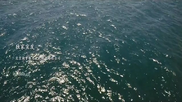 Escape of Shark 2021 720p HD.mp4