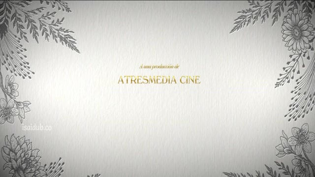 The Wedding Unplanner 2020 720p HD.mp4