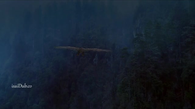 Savage Man 2020 360p HD.mp4
