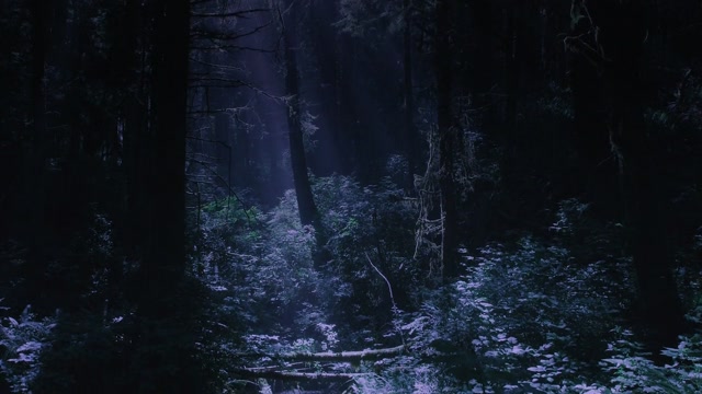 isaiDub.com - Alpha Wolf 2018 720p HD.mp4