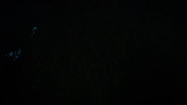 isaiDub.com - The Piper 2023 360p HD.mp4