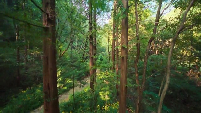 isaiDub.Me - The Frog Season 01 (Epi 01).mp4