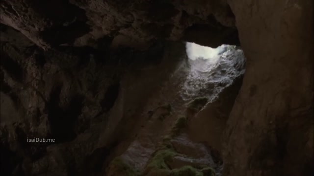 Pterodactyl 2005 720p HD.mp4