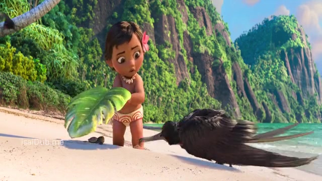Moana 2016 Sample.mp4