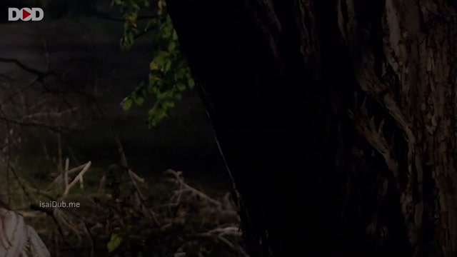 Swamp Devil 2008 720p HD.mp4