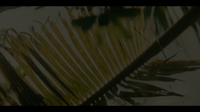 isaiDub.me - Get Millie Black 2025 Season 01 (Epi 01).mp4
